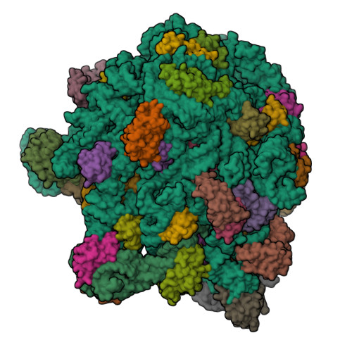 Structure 9Q40
