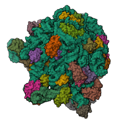 Structure 9Q43