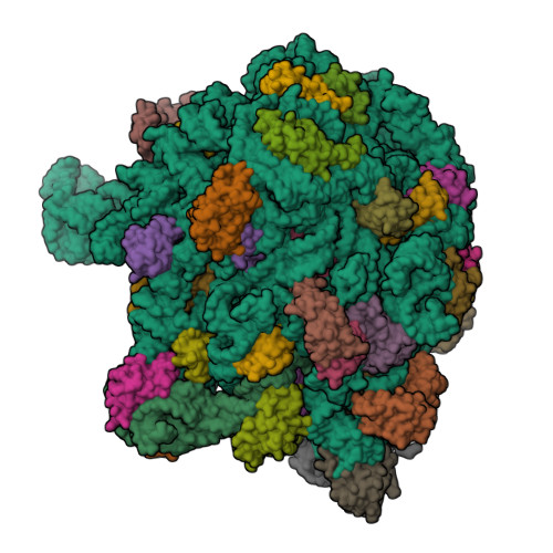 Structure 9Q44