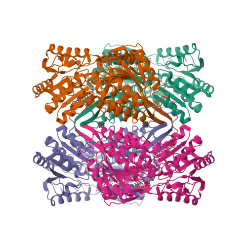 Structure 9Q4B