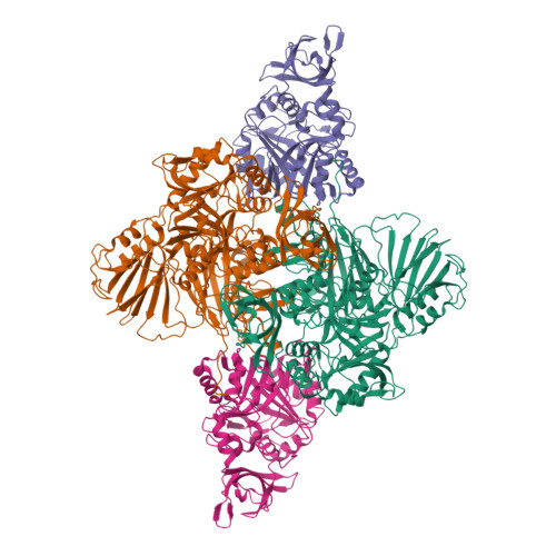 Structure 9Q59