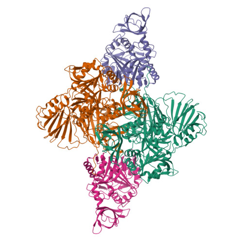 Structure 9Q5A