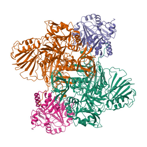 Structure 9Q5L