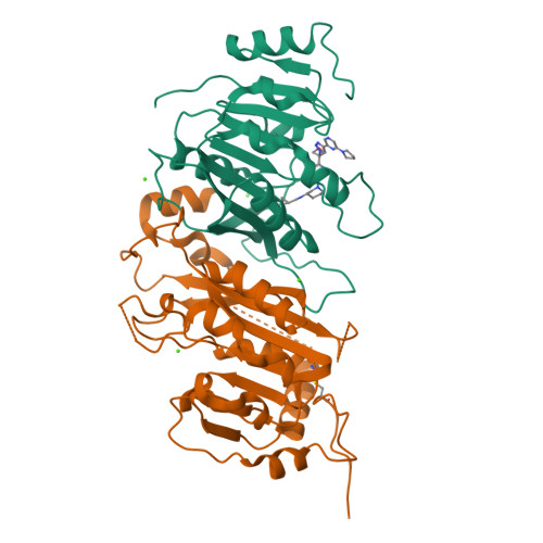 RCSB PDB - 9Q89: Crystal structure of the human METTL3-METTL14 in ...