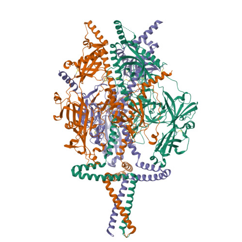 ローカル　上クチビル RCSB PDB - 9Q9L: HSV-1 prefusion glycoprotein B
