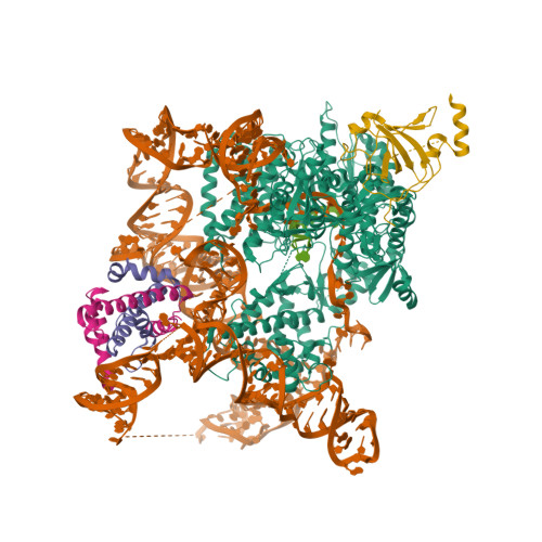 RCSB PDB - 9QAY: Catalytic core 1 of dimeric human telomerase