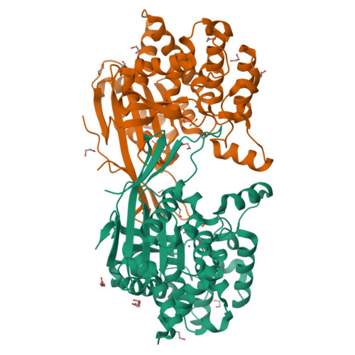 RCSB PDB - 9QCY: Crystal structure of Rhizobium etli L-asparaginase ...
