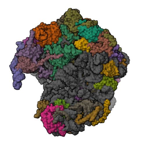 Structure 9QER