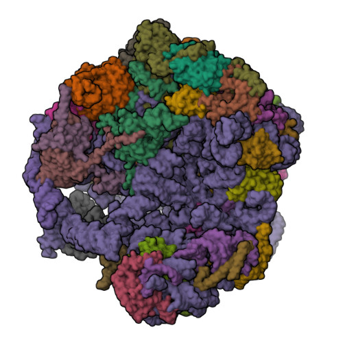 Structure 9QET