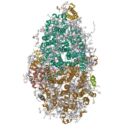 Structure 9QFP