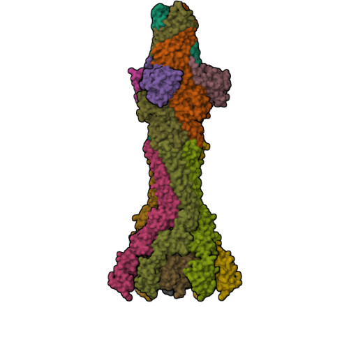 Macab RCSB PDB - 9QGY: Structure of the YbjP lipoprotein bound to the MacAB ...