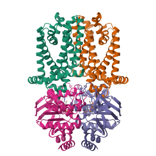RCSB PDB - 9QHX: ATP-bound E178Q Wzm-Wzt from Mycobacterium abscessus ...