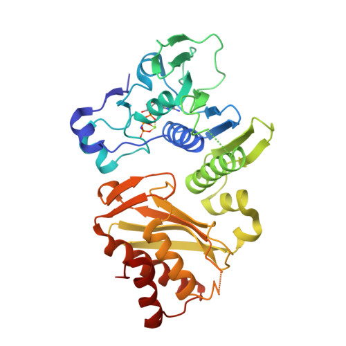 Structure 9QIQ