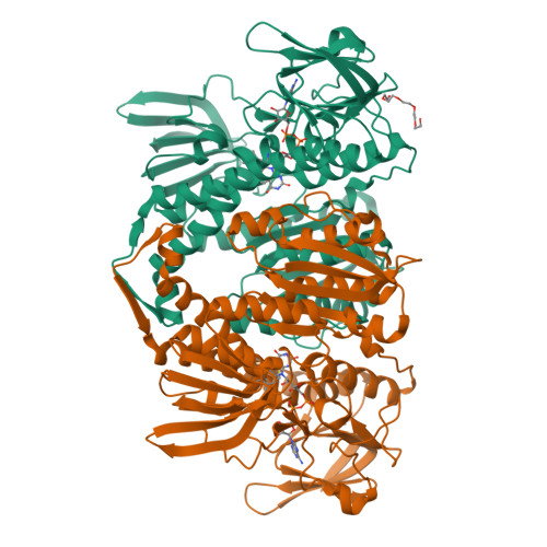 Structure 9QJ6