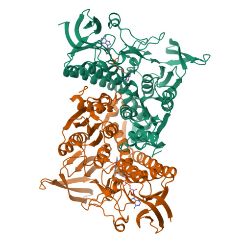Structure 9QJ8