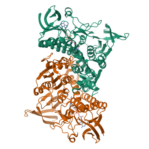 Structure 9QJI