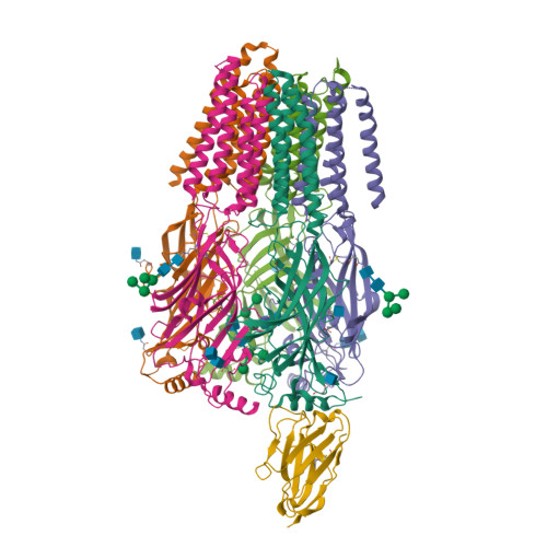 Structure 9QJP