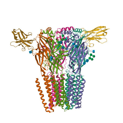 Structure 9QJY