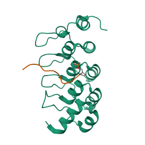 RCSB PDB - 9QJZ: Crystal structure of ARC4 from human Tankyrase 2 in ...