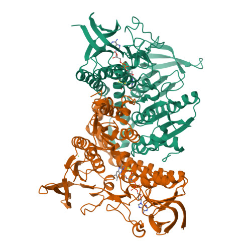 Structure 9QLC