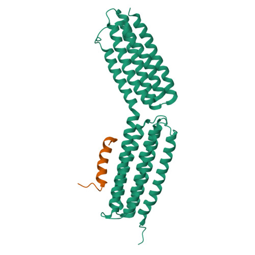 Talin Inu RCSB PDB - 9QN7: Structure of talin in complex with a peptide fragment