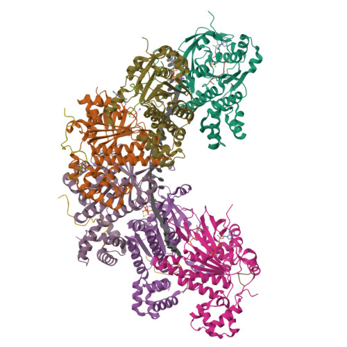 RCSB PDB - 9QN8: RAD51 filament in complex with calcium and ATP bound ...