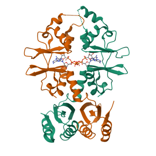 RCSB PDB - 9QS7: AcuB,Acetoin utilization protein