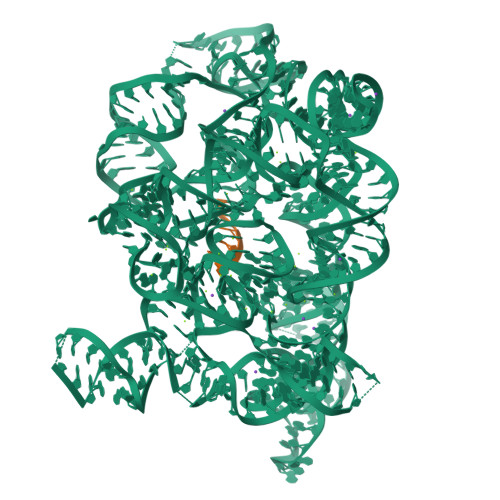 Structure 9QTV