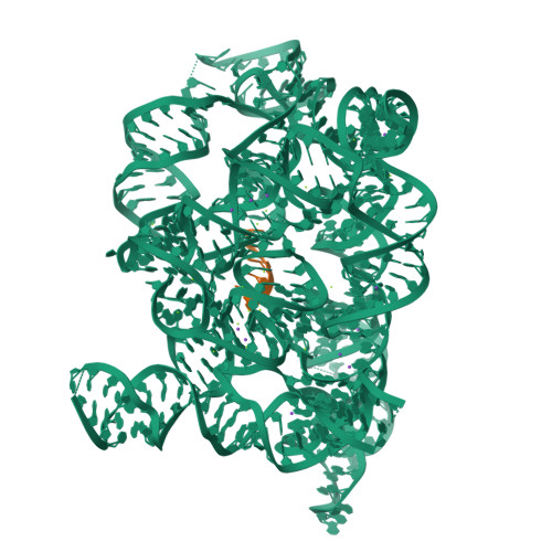 Structure 9QTX