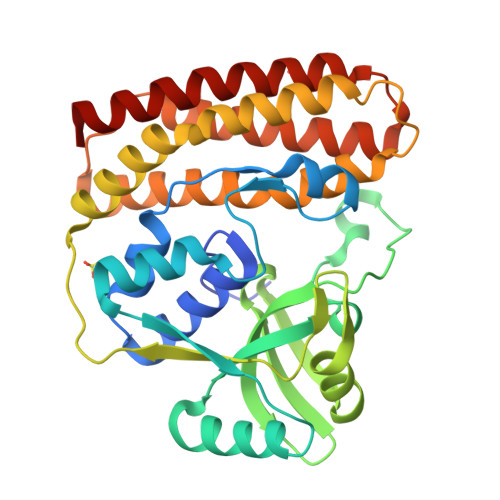 RCSB PDB - 9QUZ: Crystal structure of CtaG from Ruminiclostridium ...
