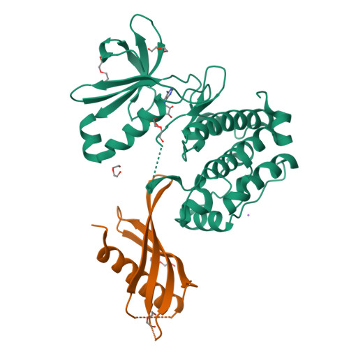 RCSB PDB - 9QVZ: Adhiron-mediated Identification of a Novel and ...