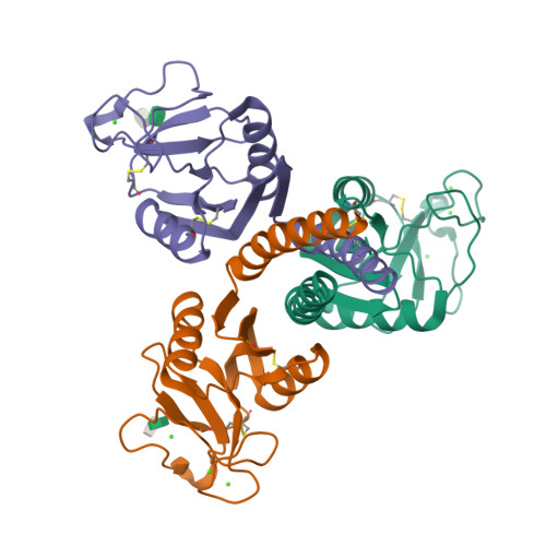 RCSB PDB - 9QW2: Crystal structure of human lung surfactant protein D ...