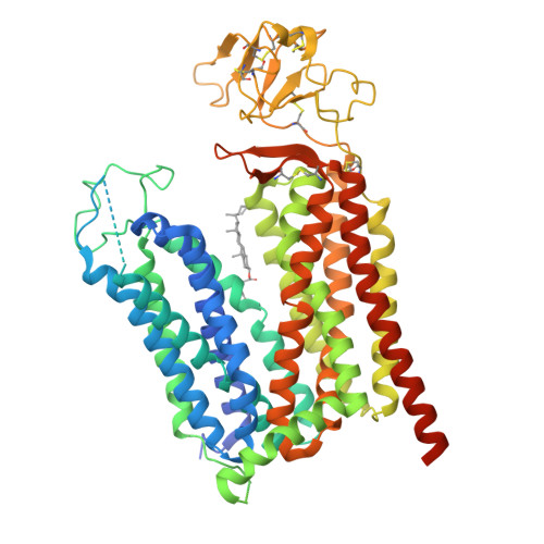 Solute carrier organic anion transporter family member 2A1 structure