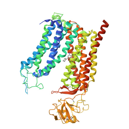 RCSB PDB - 9R0O: Cryo-EM structure of rat SLCO2A1 bound to tolcapone.