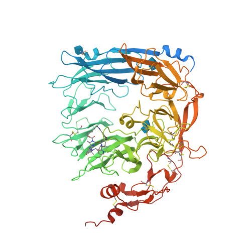 RCSB PDB - 9R18: Structure of Sortilin ECD in complex with TNFa ...