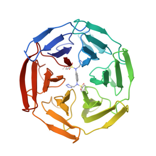 RCSB PDB - 9R1I: Keap1 - inhibitor complex - 3