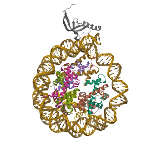 Structure 9R2W
