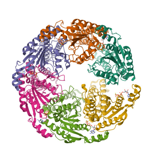 RCSB PDB - 9R34: Norovirus NS3 hexamer in complex with ATP-gamma-S