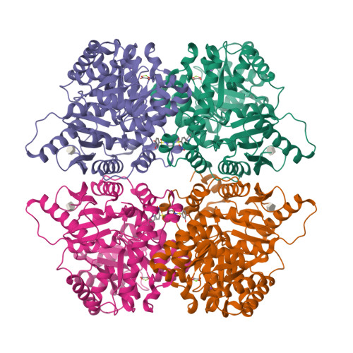 RCSB PDB - 9R3M: Structure of liver pyruvate kinase in complex