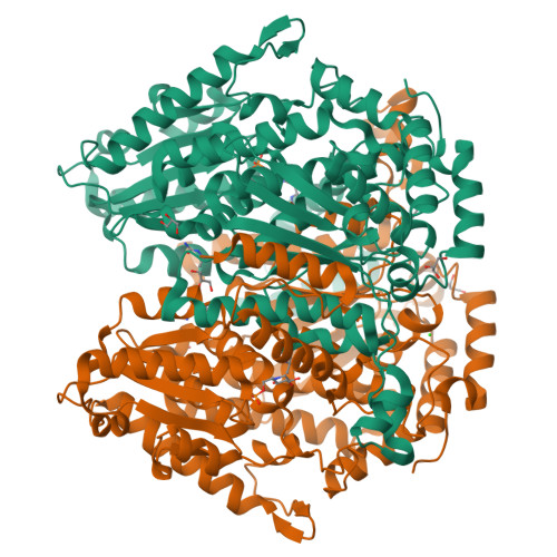 Capgi RCSB PDB - 9R5U: The structure of CaPGI in complex with fragments