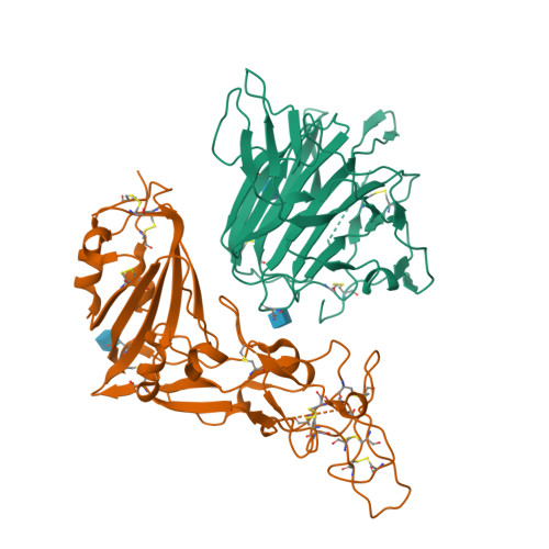RCSB PDB - 9R6O: Local refinement of the N-terminal domain (NTD) and ...
