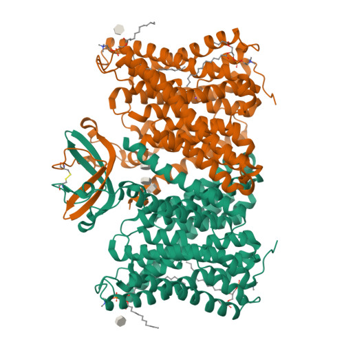Structure 9R8J