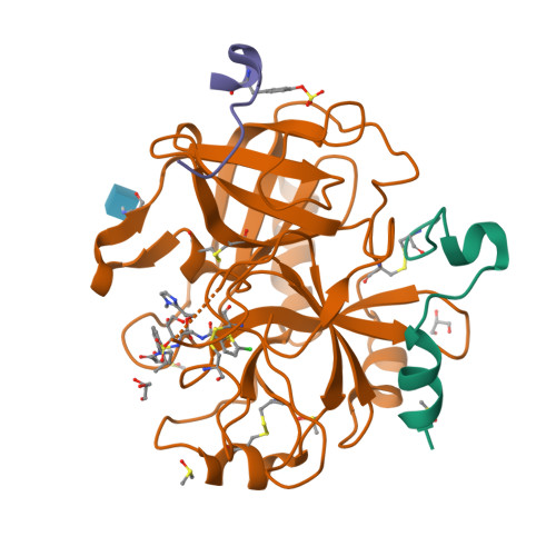 RCSB PDB - 9R8Q: Structure of thrombin bound to BAY 3389934