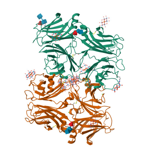 RCSB PDB - 9RD6: Crystal structure of the 4CHRD domain of human chordin ...