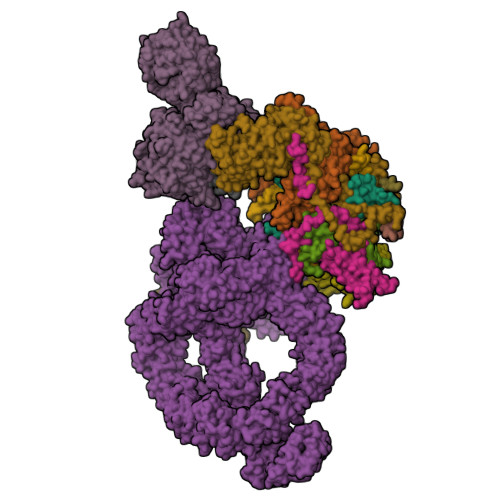 RCSB PDB - 9RDK: Cryo-EM structure of the human SAGA co-activator complex