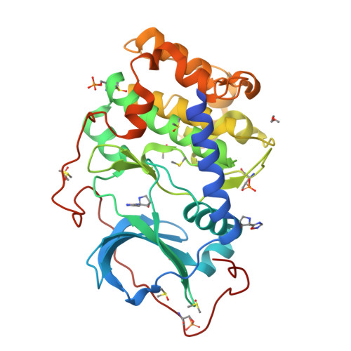 RCSB PDB - 9RDV: Crystal Structure of the Protein-Kinase A catalytic ...