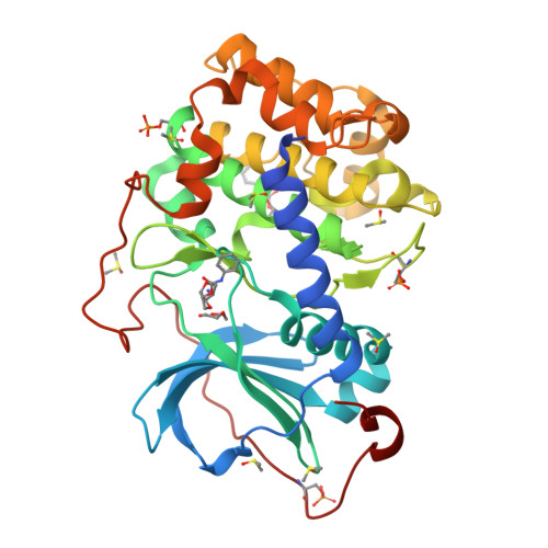 RCSB PDB - 9RDZ: Crystal Structure of the Protein-Kinase A catalytic ...