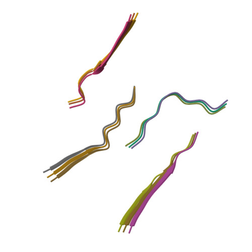 Structure 9RFV