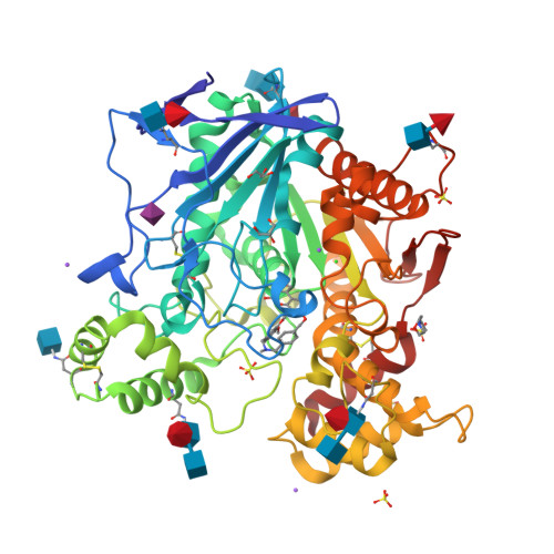 RCSB PDB - 9RGC: Recombinant Human Butyrylcholinesterase in complex ...