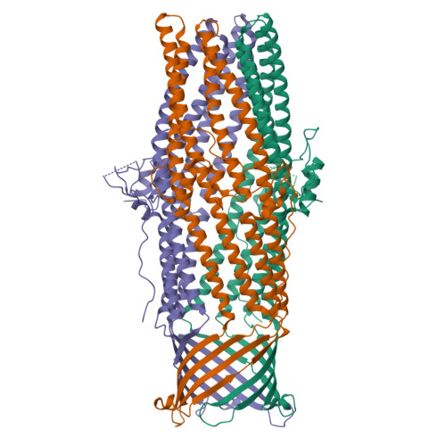 RCSB PDB - 9RMM: Crystal structure of outer membrane SilC